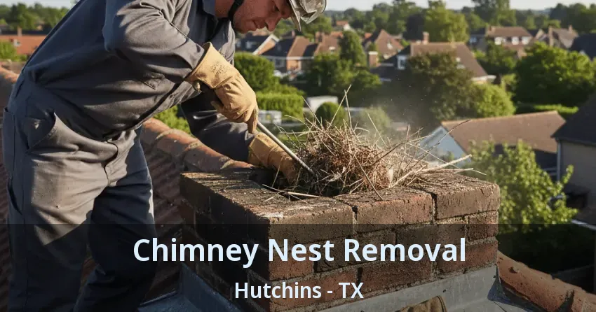 Chimney Nest Removal Hutchins - TX