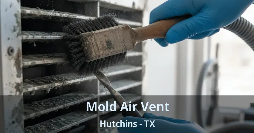 Mold Air Vent Hutchins - TX Mold Air Vent Hutchins - TX