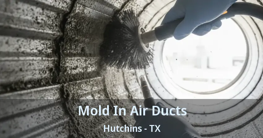 Mold In Air Ducts Hutchins - TX