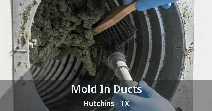 Mold In Ducts Hutchins - TX