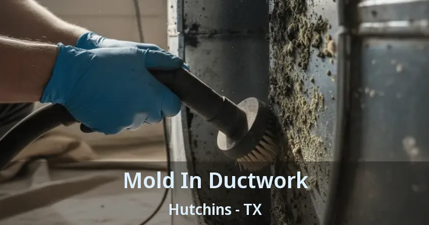 Mold In Ductwork Hutchins - TX