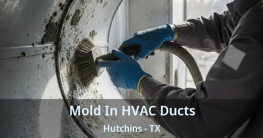 Mold In HVAC Ducts Hutchins - TX